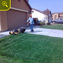 front lawn care service